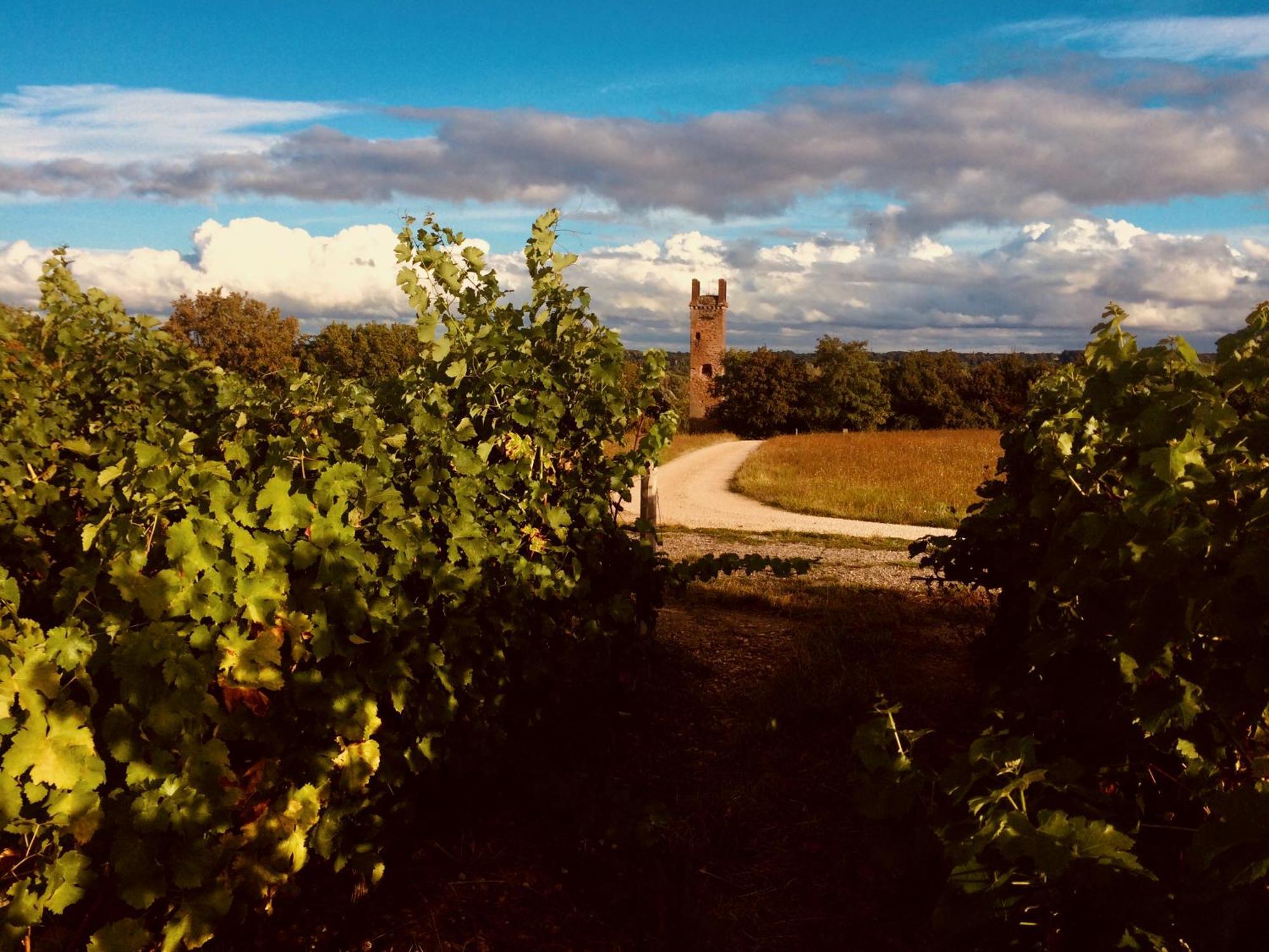 Le Clos Rabelais Langeais Esterno foto