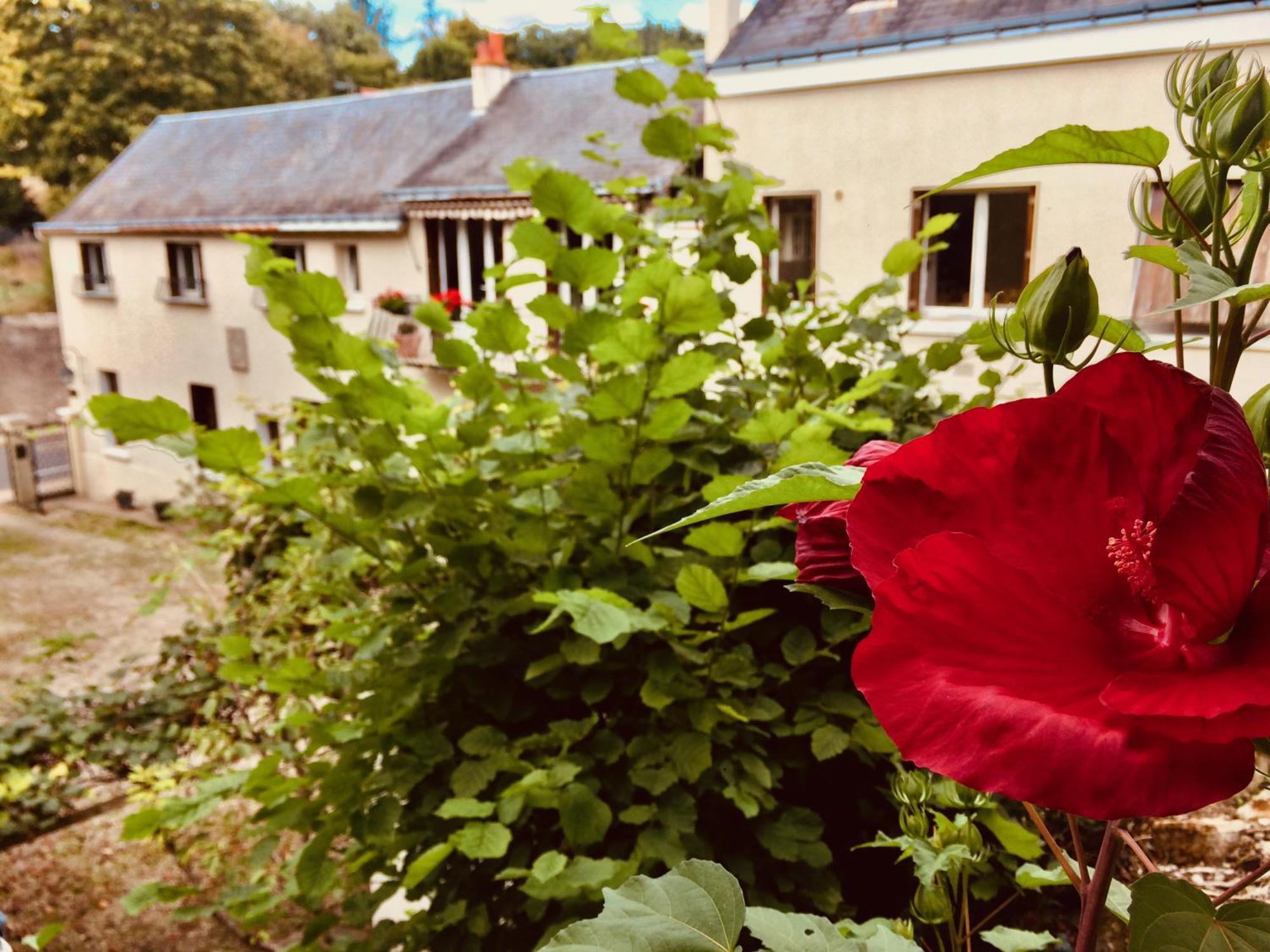 Le Clos Rabelais Langeais Esterno foto